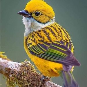 Positive Day to all 🙏best energy good vives ❣️